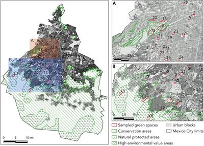 Taxonomic, Phylogenetic and Functional Diversity of Bird Assemblages in Urban Green Spaces: Null Model Analyses, Temporal Variation and Ecological Drivers